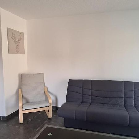 Tres Beau Appartement T2 Centre Ville ギャップ エクステリア 写真