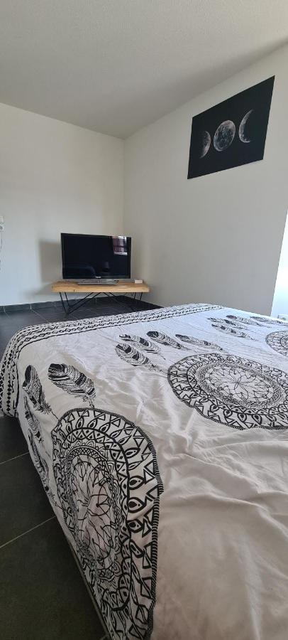 Tres Beau Appartement T2 Centre Ville ギャップ エクステリア 写真